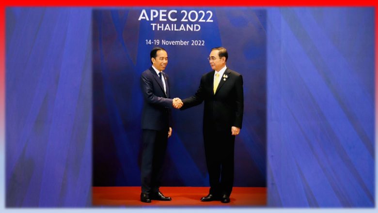 Para Pemimpin APEC Sepakati Bangkok Goals for the Bio-Circular-Green (BCG) Economy