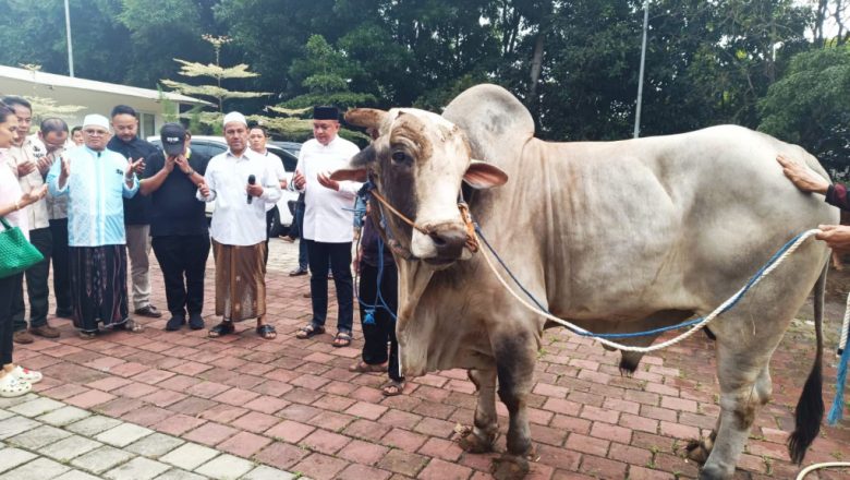 Ketua DPRD Kabupaten Bogor, Rudy Susmanto Bagikan 48 Sapi Kurban dari Prabowo